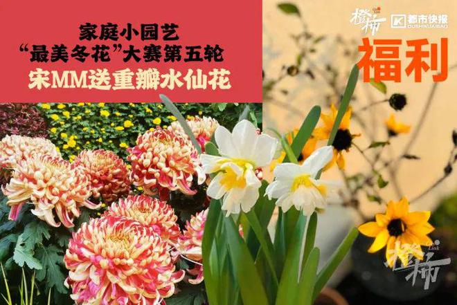 ！来橙柿动动季看球聊球赢好礼过大年爱游戏(ayx)2025澳网开打(图5)