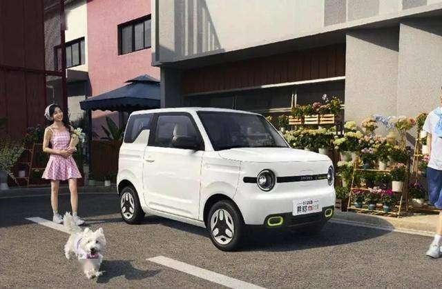 15日上市设计可爱适合年轻人和旅行爱好者爱游戏app体育吉利熊猫mini将于4月(图2)